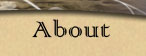 About Page Button