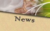 News Page Button