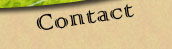 Contact Page Button